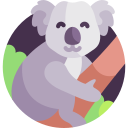 Koala icon