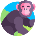 chimpancé icon