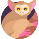 Tarsier icon