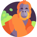 Orangutan icon