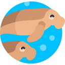 Dugong icon