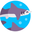 tiburón de aleta ancha icon