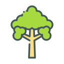 naturaleza icon