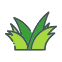 naturaleza icon