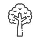 nature icon