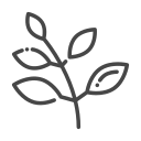 nature icon