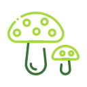 자연 icon