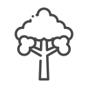 nature icon