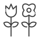 nature icon