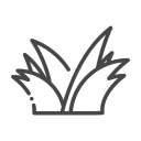 nature icon