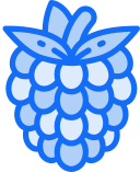 fruta icon