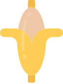 fruta icon