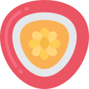 fruta icon