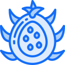 fruta icon