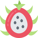 fruta icon