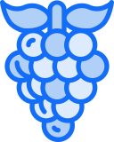 fruta icon