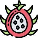 fruta icon