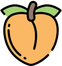 fruta icon