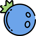 fruta icon