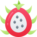 fruta icon