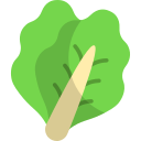 lechuga icon