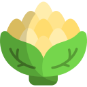 brócoli romanesco icon