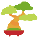 Árbol bonsai 