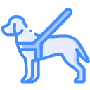 Perro lazarillo icon