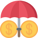 financiero icon