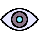 ojo icon