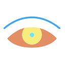 Ojo icon