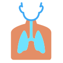 Pulmones icon