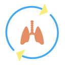 Pulmones icon