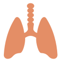 Pulmones icon