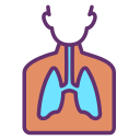 Pulmones icon