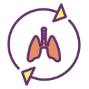 Pulmones