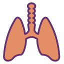 Pulmones