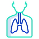 Pulmones icon