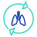 Pulmones