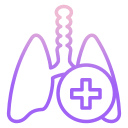 Pulmones icon