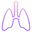 Pulmones icon