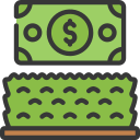 dinero icon