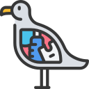 pájaro icon