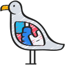 pájaro icon