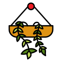 Hanging plant 