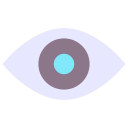 ojo icon