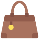 bolso icon