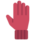 Gloves icon