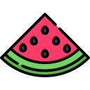 Watermelon icon