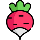 Radish icon